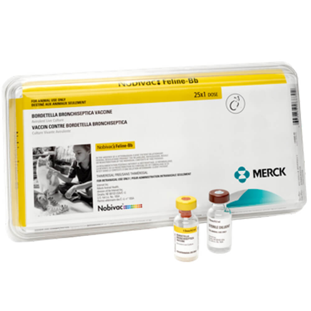 Nobivac Feline-Bb (25 x 1ml)