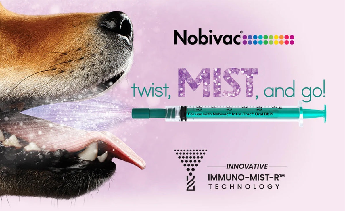 Nobivac Intra-Trac Oral BbPi