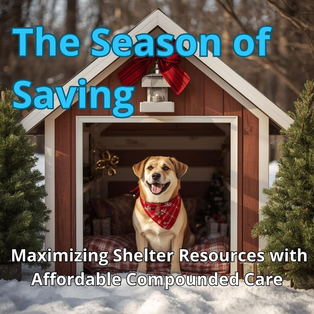 The Season of Saving