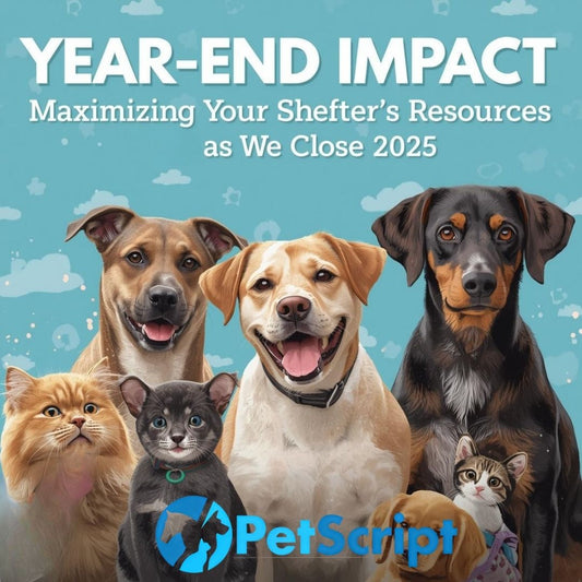 Year-End Impact