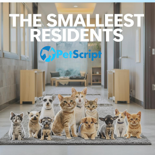 The Smallest Residents