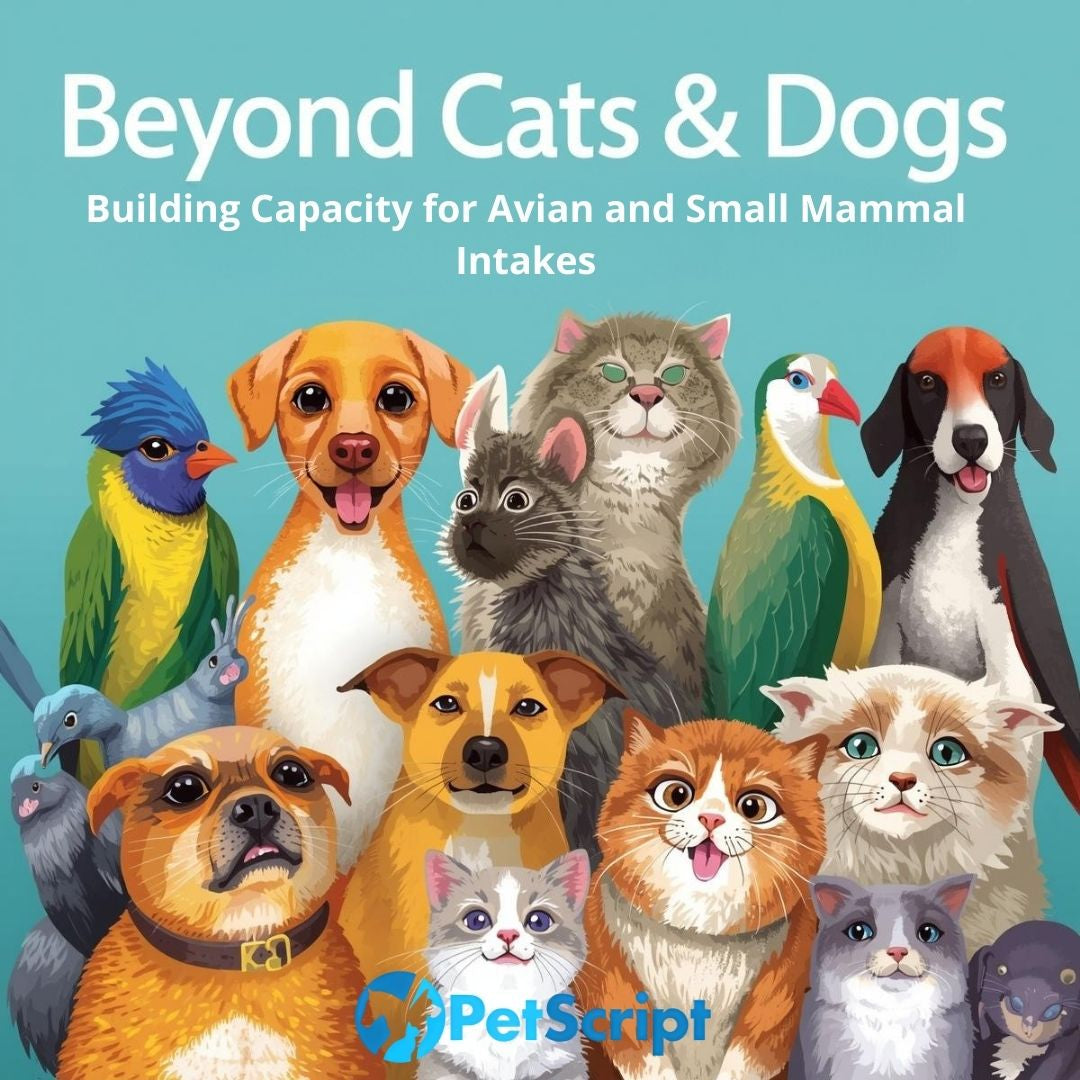 Beyond Cats & Dogs
