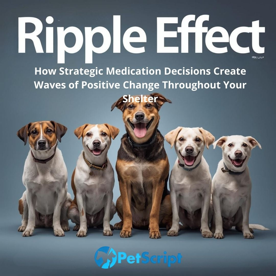 The Ripple Effect