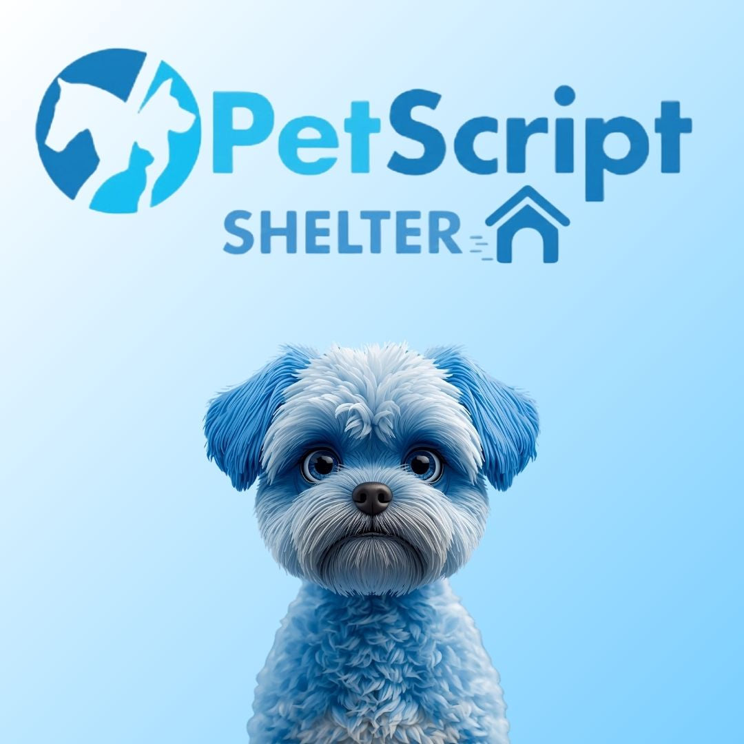 The Complete Guide for Rescues
