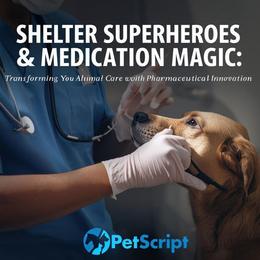 Shelter Superheroes & Medication Magic
